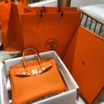 Hermes Birkin Togo Leather Handbag in Orange with Gold Hardware - Image 3