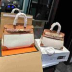 Hermès Birkin Toile H Canvas Bag Brown - Image 2