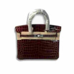 Hermes Birkin Bordeaux Silver Hardware bag