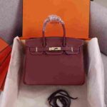 Hermes Birkin Rouge H Togo Gold Hardware - Image 7