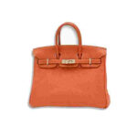 Hermès Birkin Orange Poppy Togo Gold Hardware