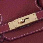 Hermes Birkin Rouge H Togo Gold Hardware - Image 3