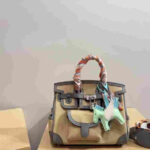 Hermes Birkin Cargo Mousse Ecorce Toile Silver Hardware - Image 2