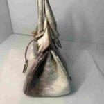 Hermes Birkin Blanc Himalaya Luxury Crocodile Bag with PHW - Image 3