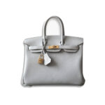Hermès Birkin 25 Gris Perle Togo Gold Hardware Bag