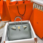 Hermès Birkin 25 Gris Perle Togo Gold Hardware Bag - Image 2