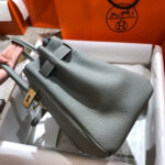 Hermès Birkin 25 Gris Perle Togo Gold Hardware Bag - Image 5