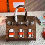 Hermès Sac Faubourg Matte Alligator Brown Handbag - Image 6