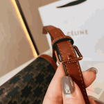 Celine Classique Triomphe Bag in Triomphe Canvas - Image 3