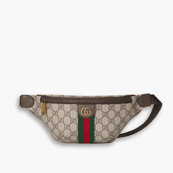 Gucci Ophidia Small Belt Bag Beige and Dark Brown