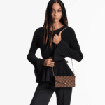 Louis Vuitton Félicie Pochette Damier Ebène Canvas - Image 3