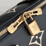 Louis Vuitton Speedy Bandoulière 25 Bicolour Monogram - Image 4