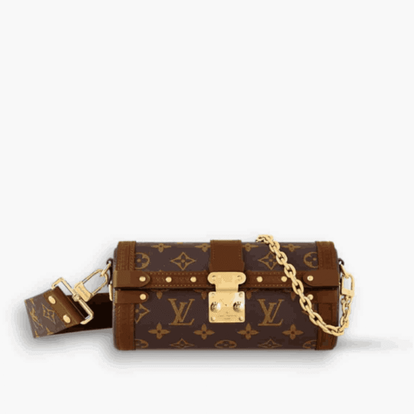 Louis Vuitton Papillon Trunk Bag Monogram Canvas